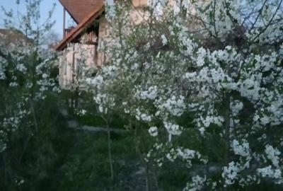 Vanzare casa - 3