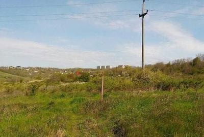 Teren de 10000 mp, în Copou - 8