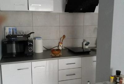 Apartament cu 2 camere nedecomandat în Poiana Țapului - 7