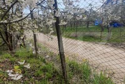 Spațiu comercial, în Gemenea-Brătulești - 18