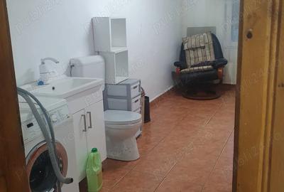 Vand casa Re?i?a - 8