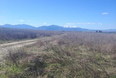 Teren Construcții intravilan de 600 mp, în Bod - 4