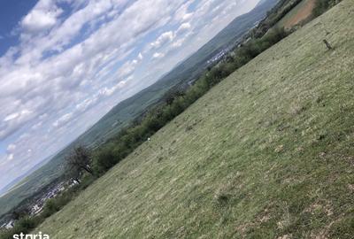 Teren de 500 mp, în Central - 7