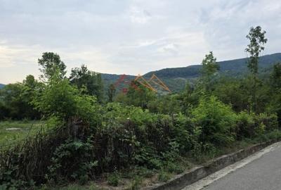 Teren Intravilan, utilitati in zona, 2600 mp, Draganeasa, Prahova - 4