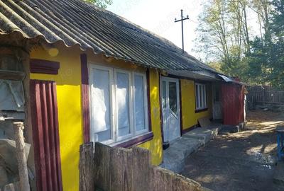 Casă cu 4 camere cu Teren 80 Mp în Blânzi - 2