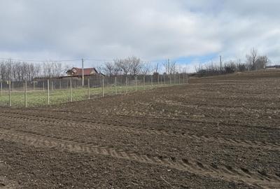 Spațiu comercial, în Aroneanu - 7