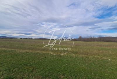 Teren extravilan de vanzare – 500 mp – Talmaciu, zona apropiata de intravilan - 2