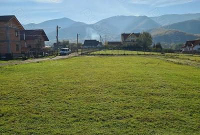 Teren de 1400 mp, în Central - 2