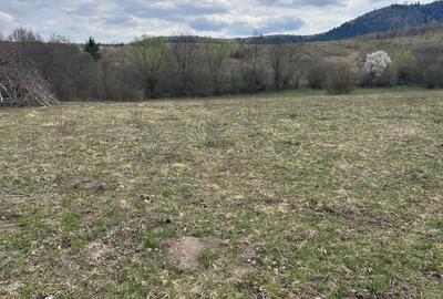 Spațiu comercial, în Șinca - 1