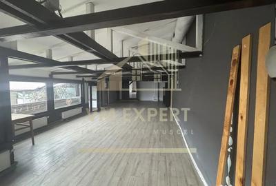 Spațiu comercial, de 212 mp, în Câmpulung Muscel - 9