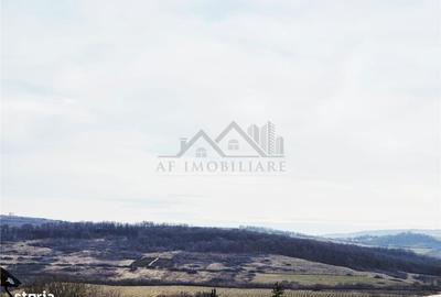 Spațiu comercial, în Ciurea - 5