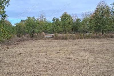 Teren intravilan 835 mp , D - 23 m , zona linistita - 5