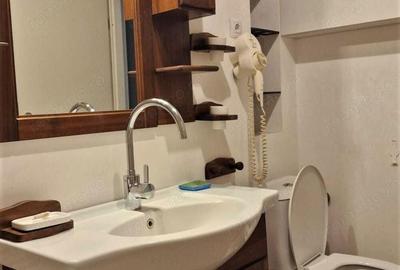 Apartament 3 camere Brancoveanu - 3