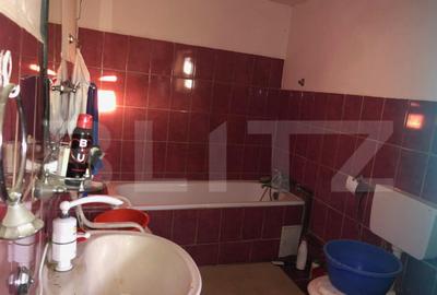 Casa batraneasca, 1500 mp teren, comuna Pomi - 14