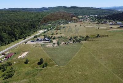 Teren agricol intravilan de 5561 mp, în Păltinoasa - 14