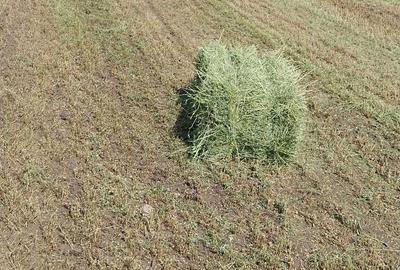 Teren de 2500 mp, în Tătărani - 2