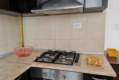 Apartament cu 3 camere semidecomandat, mobilat în Tătărași - 6
