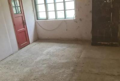 Spațiu comercial, de 180 mp, în Ineu - 2