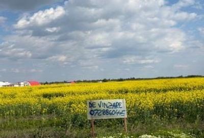 Teren de 17900 mp, în Clinceni - 5