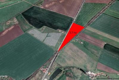 2,70 ha teren la intrarea in com Sagu, front stradal mare - 4