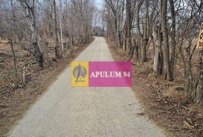 Teren de 3074 mp, în Cornu