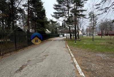 Teren Piatra Neamt - zona strand ideal pentru Hotel - 12