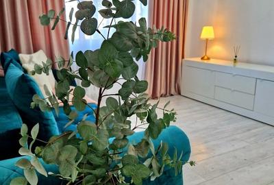 Apartament cu 2 camere semidecomandat în Podu Roș - 10