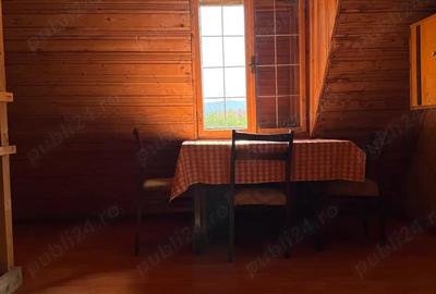 Cabana la Dunare, Liubcova, nr 475A, Caras-Severin - 4
