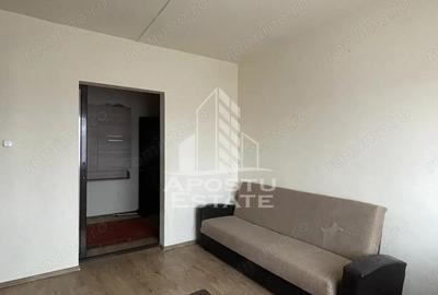 Casă cu 9 camere cu Canalizare în Elisabetin - 12