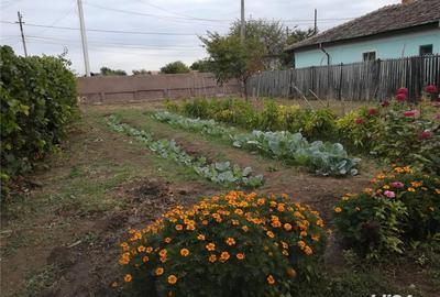 Casă cu 5 camere cu Teren 2800 Mp în Corabia - 1