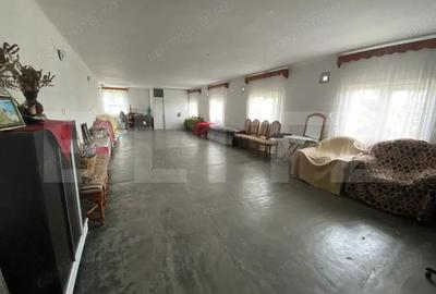 Casa de vanzare, spatiu comercial in suprafata 220 mp, in localitatea Sarmasag - 10