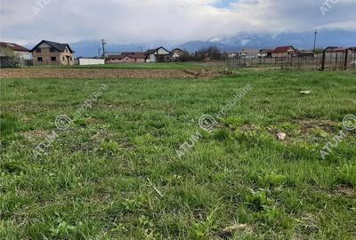 Teren de 1400 mp, în Avrig - 3