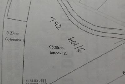 Teren de 9300 mp, în Cozieni - 1