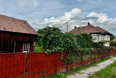 Vand casa sat Pietris jud Mures - 2