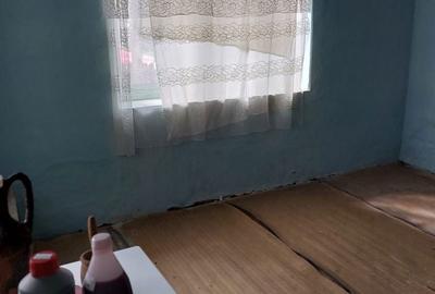 Casă cu 2 camere în Sic - 8
