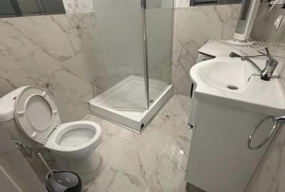 Garsonieră în Ciurea