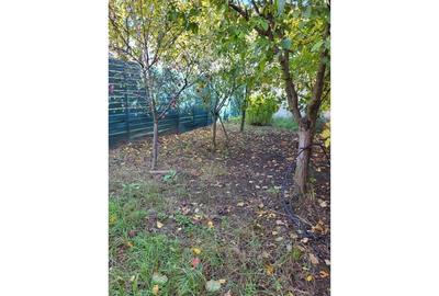 REV2005300 Casa - Otopeni - Mc Donalds - 21