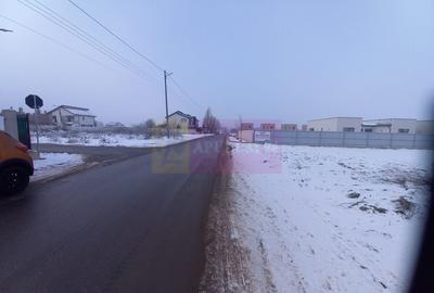 Teren Domnesti de vanzare - 3