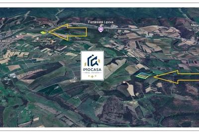Teren agricol extravilan de 81400 mp, în Nord-Est - 3