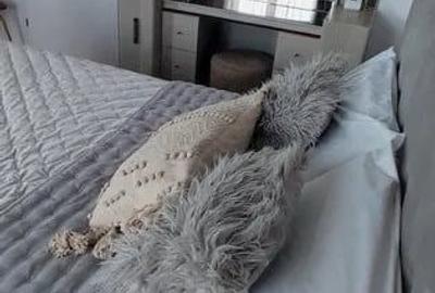 Apartament cu 2 camere semidecomandat în Take Ionescu - 7