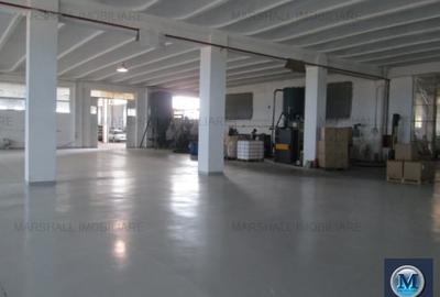 Spatiu industrial de inchiriat in Filipestii de Targ, 2500 mp #12438 - 4