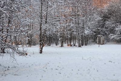 Spațiu comercial, în Central - 7