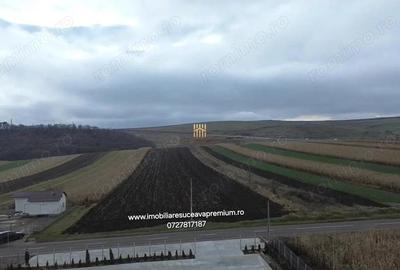 Teren de 14066 mp, în Mihoveni - 7