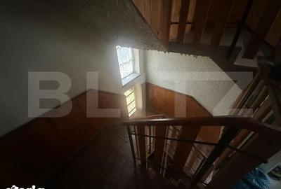 Casă cu 4 camere cu Teren 6197 Mp în Micula - 16