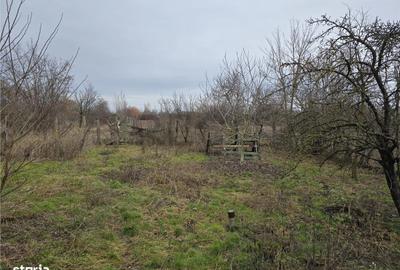 Casă cu 3 camere cu Teren 7900 Mp în Ciumeghiu - 13