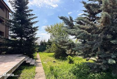 Casă cu 4 camere în Tamași - 13