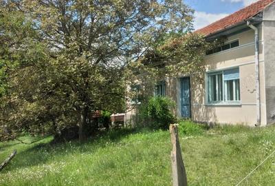 Casa 4 camere-teren 22000 mp-com. Armeni?( 26 Km de Caransebe?) - 3