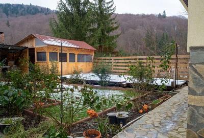 Complex pentru cazare in Busteni in zona Valea Alba - 3