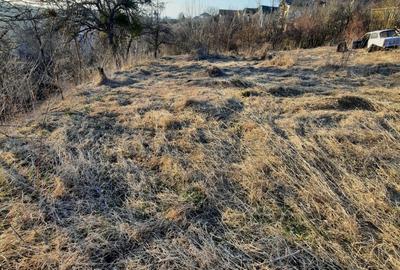 Spațiu comercial, în Feleacu - 2