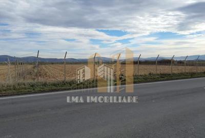 Teren intravilan industrial DN 13 Calea Feldioarei Brasov - 7